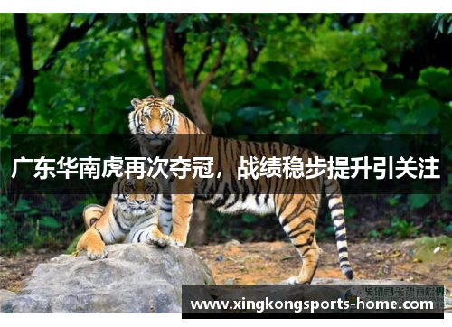 广东华南虎再次夺冠，战绩稳步提升引关注