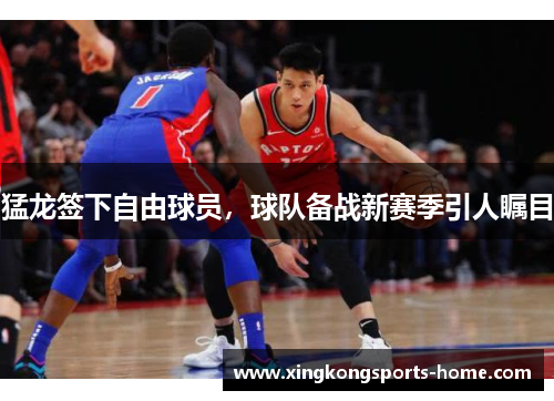 猛龙签下自由球员，球队备战新赛季引人瞩目
